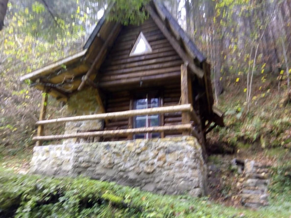 Holiday Park Zelenkovac Podrašnica Kültér fotó