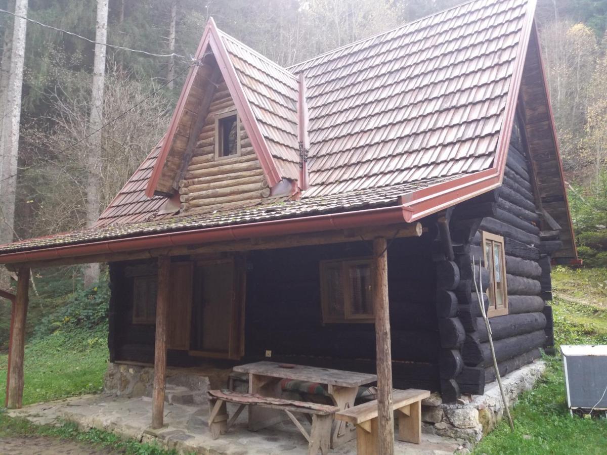 Holiday Park Zelenkovac Podrašnica Kültér fotó