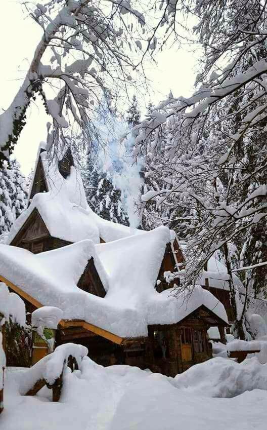 Holiday Park Zelenkovac Podrašnica Kültér fotó