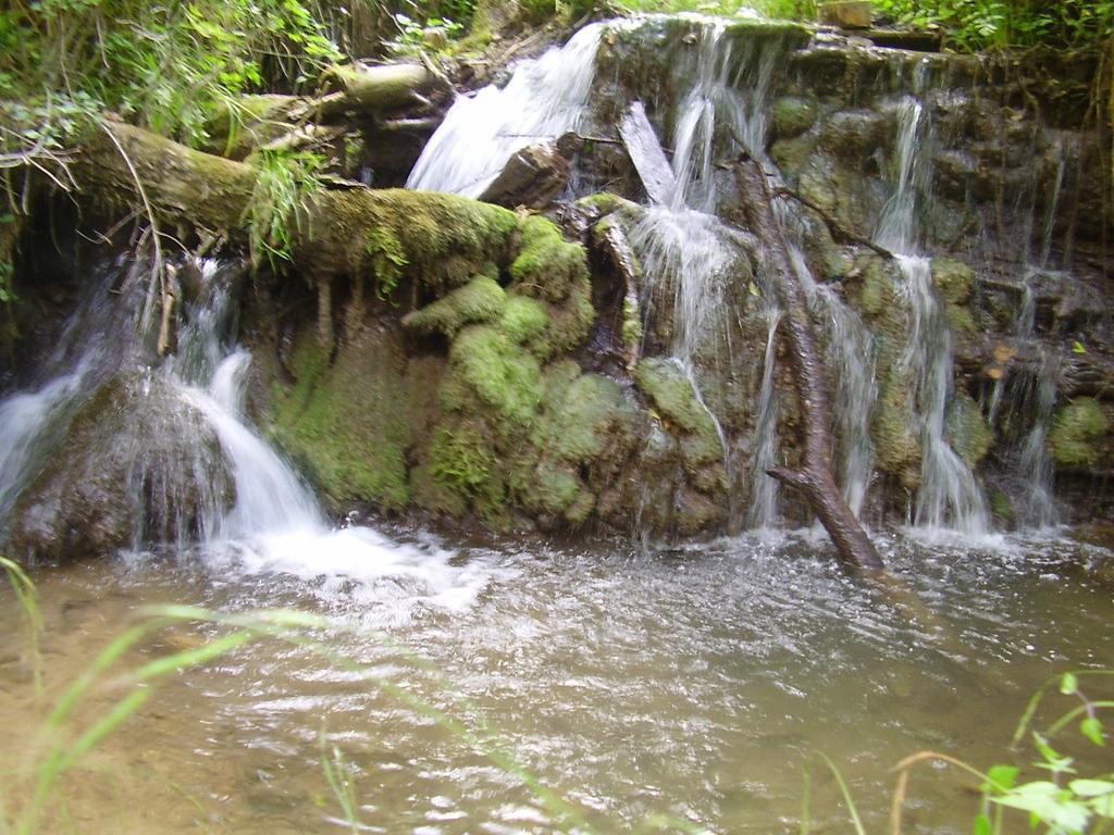 Holiday Park Zelenkovac Podrašnica Kültér fotó