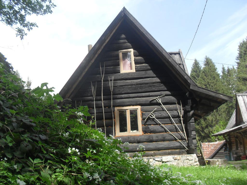 Holiday Park Zelenkovac Podrašnica Kültér fotó